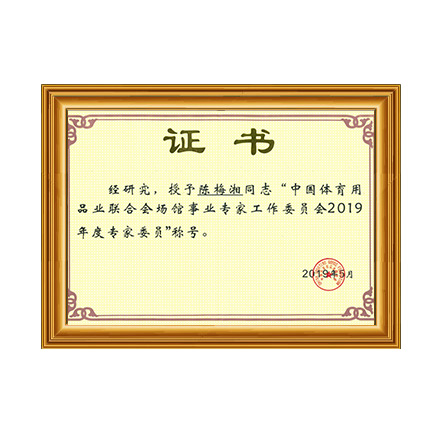 中國體育用品業(yè)聯合會場館事業(yè)專家工作委員會2019年度專家委員稱號 - 戴思樂科技集團有限公司