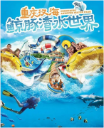 <b>【戴思樂浮潛案例賞析】讓國人在浮潛體驗館中暢享深海之旅！</b>