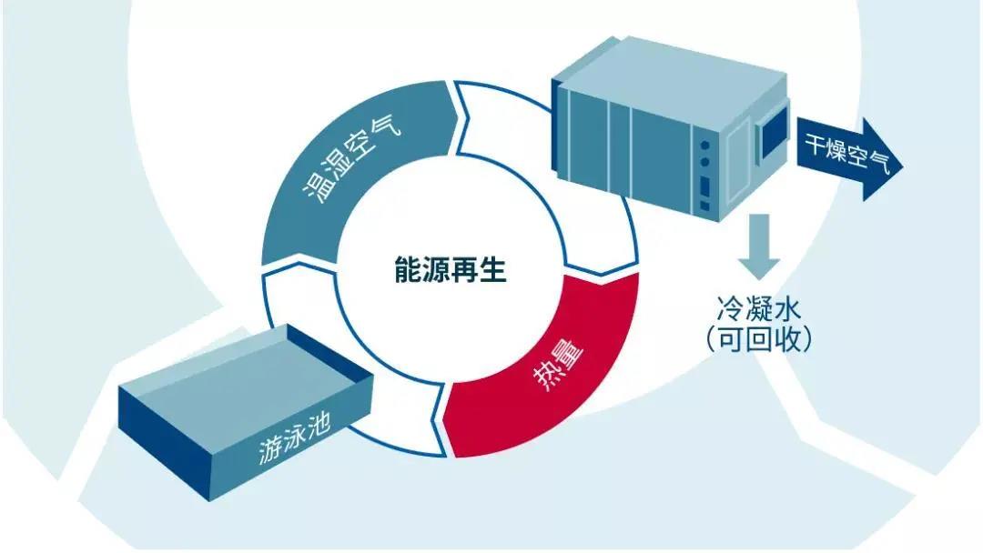 低氯游泳館,無(wú)氯游泳池,低氯泳池，低氯系統(tǒng)