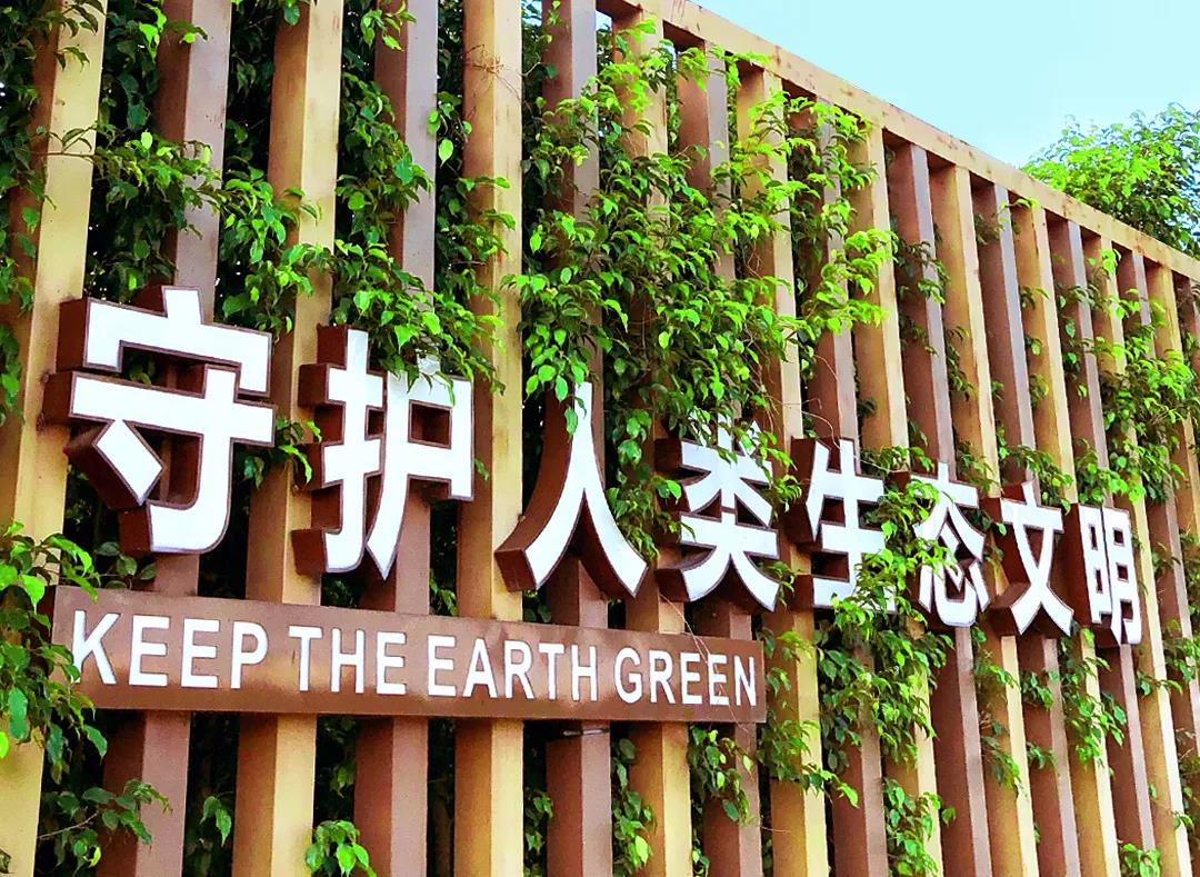 戴思樂董事長專訪，戴思樂水處理技術(shù)，戴思樂泳池設(shè)備