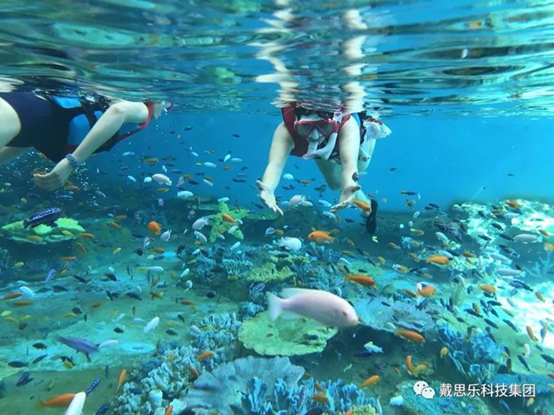 海洋浮潛館，海洋館設(shè)備