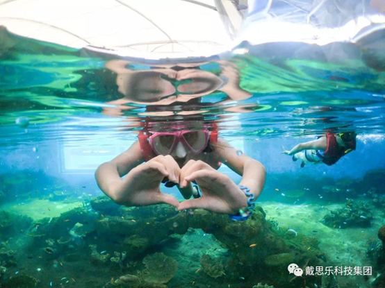 海洋浮潛館，海洋館設(shè)備