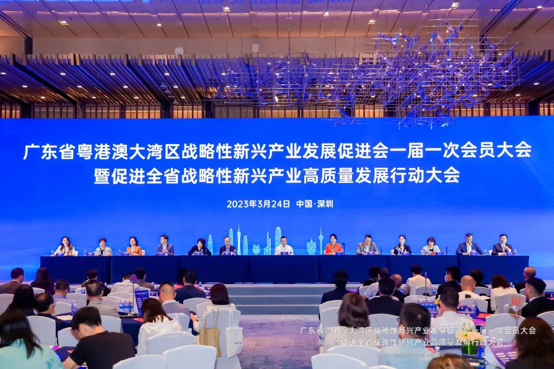 戴思樂集團當(dāng)選“大灣區(qū)戰(zhàn)新會”副會長單位！