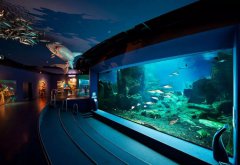 水族館的建設過程中需要考慮哪些因素？需要哪些設備呢？